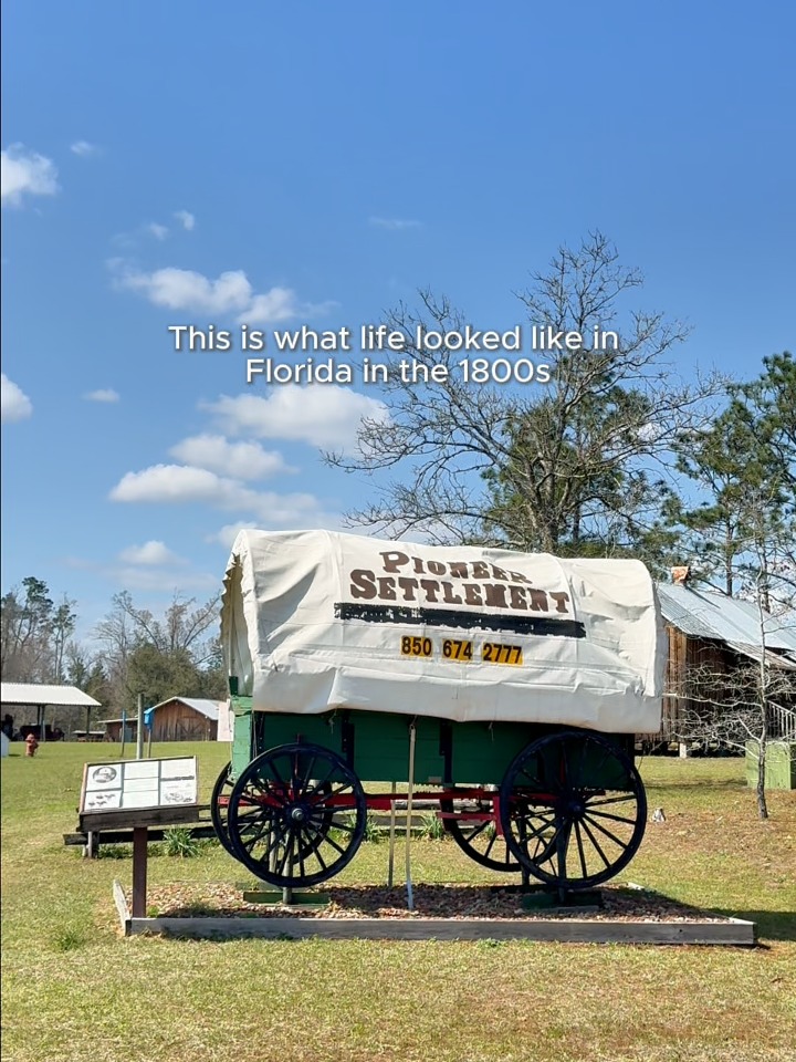 This is what life looked like in Florida in the 1800s. At the Panhandle Pioneer Settlement, historic buildings have been preserved to show how early Florida settlers lived, worked, and built their communities. From log cabins to a working blacksmith shop, come experience historic Florida. America250FL