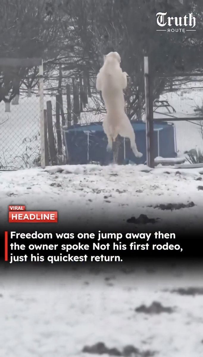 The owner definitely said “if you leave you better not come back” 😂