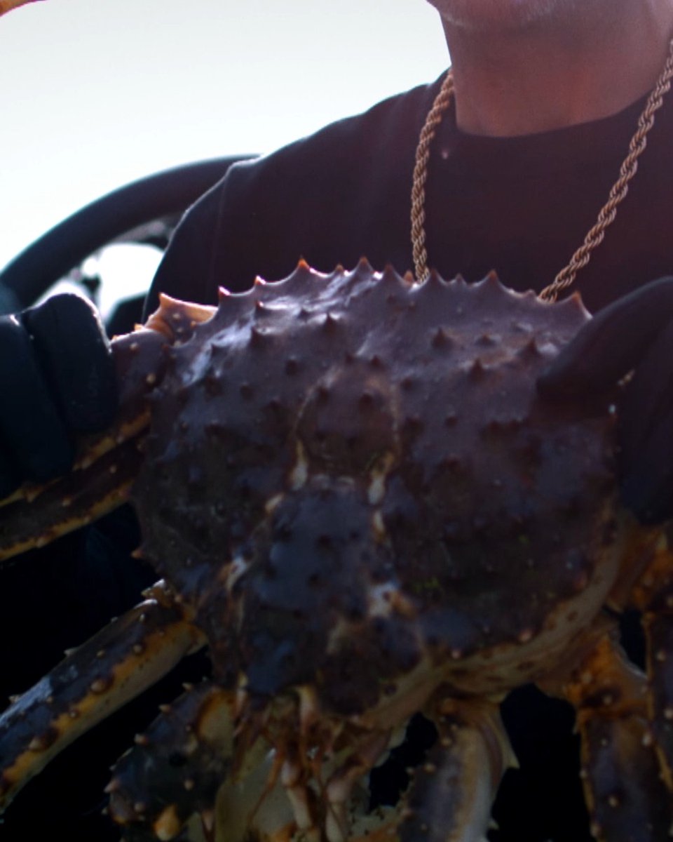 For the first time in decades, the fleet charts a new strategy on the edge of the world. The chase for a rare breed of Red King Crab pushes the captains on a 225-mile journey into remote waters, brutal weather, and unfamiliar territory. Watch an all-new season of #DeadliestCatch, premiering Friday, May 8, 8P on Discovery.