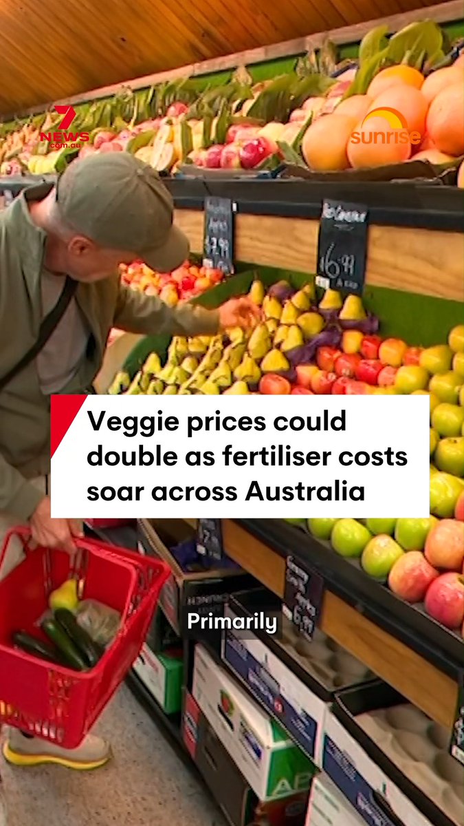 Australian families are bracing for a significant blow to their grocery budgets, with vegetable prices expected to double as fertiliser costs surge across the country. Fertiliser prices have jumped dramatically from around $800 a tonne to $2,000 a tonne, representing a staggering 50 per cent increase in some markets. The price hike is placing enormous pressure on Australia’s food production sector, as dry conditions and rising costs force farmers to reconsider their winter planting strategies. #vegetables #vegetableprices #costofliving #fertiliser #farming