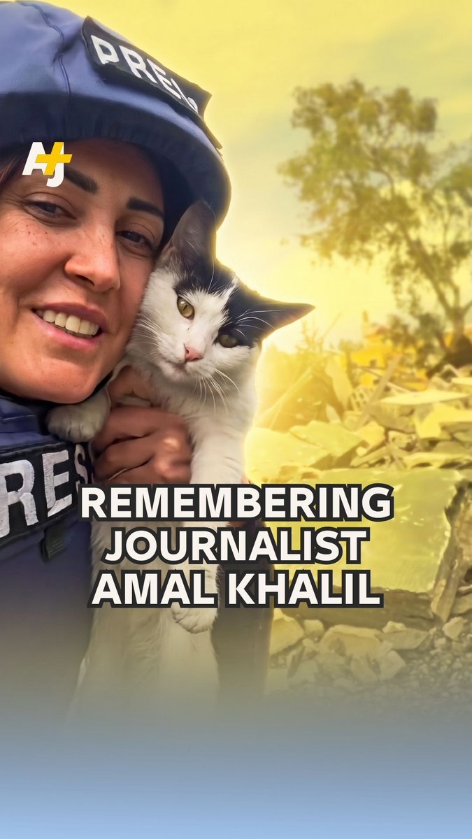 Amal Khalil was a devoted journalist who also rescued animals in southern Lebanon during Israel’s bombing campaign. Israel killed her.