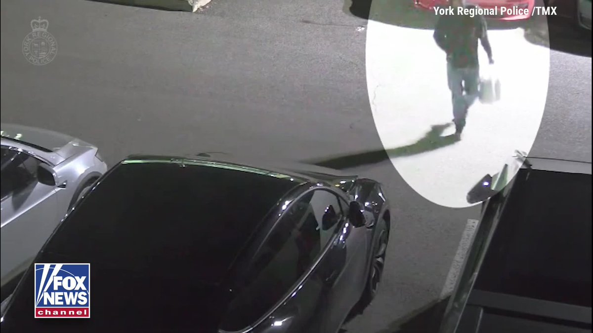 Police are hunting for a man who torched multiple vehicles at a car dealership in Vaughan, Canada. The suspect appeared to pour an accelerant on one car before lighting it on fire.