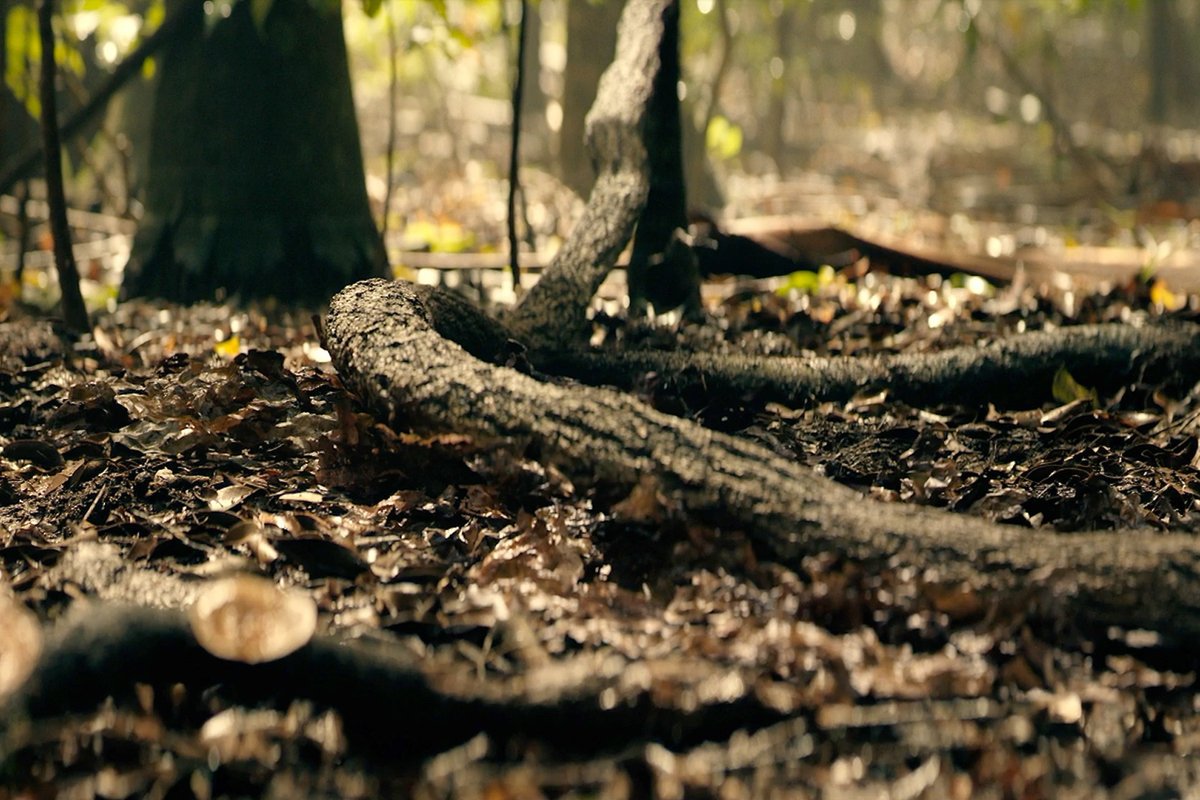 Don't worry, everything's vine. #Monarch: Legacy of Monsters — New Episode Now Streaming