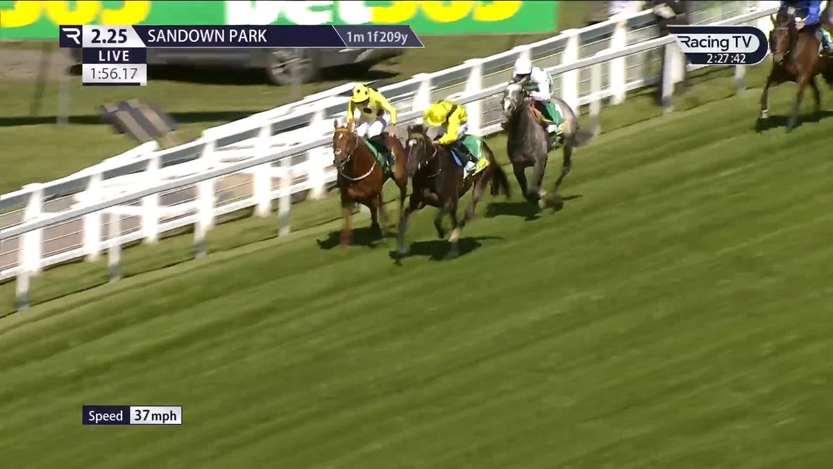 Saddadd looks good on his return in the bet365 Gordon Richards Stakes ✅ Sandown Park Roger Varian | Ray Dawson