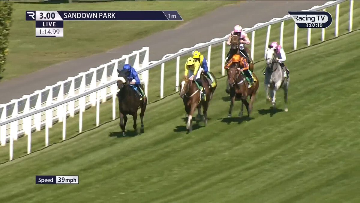 FIELD OF GOLD beaten again! 🤯 Opera Ballo has given him weight and a beating in easy style under William Buick.