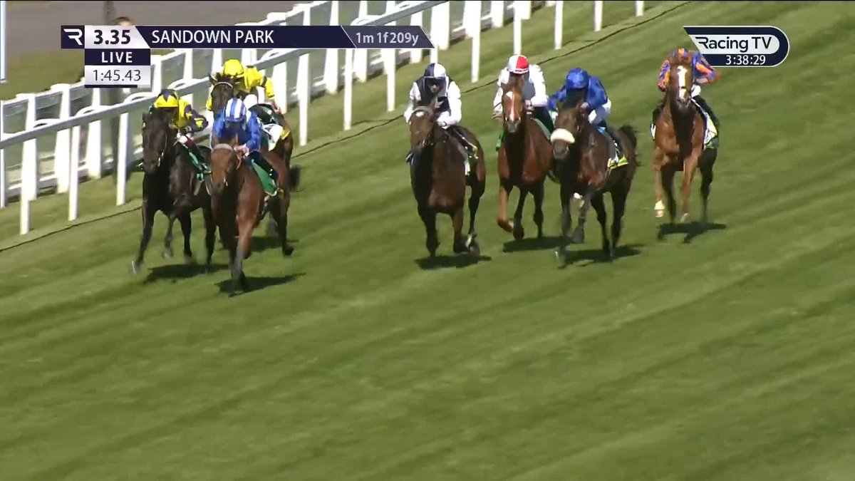 Fucking ridiculous set of brothers. Hukum, 2x G1 winner including absurdly strong King George belting 7 G1 winners. Baaeed, 10 from 11, almost a perfect career. Now this thing