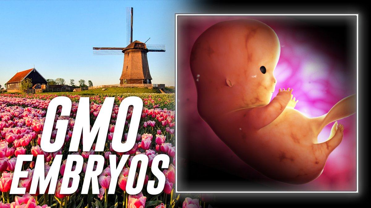 THE HUMAN CLONES ARE COMING!!! The Netherlands Is About To Legalize Creating Humanoid Babies From 2 Men, 2 Women, A Single Person, Or Even Splicing Animals & Humans Together And Implanting In Surrogate Mothers! Bottom Line— This Is At The Heart Of The Globalist Trans-Human Cult's Plan To End Humanity As We Know It! 🔴WATCH/SHARE THE LIVE ALEX JONES SHOW NOW: