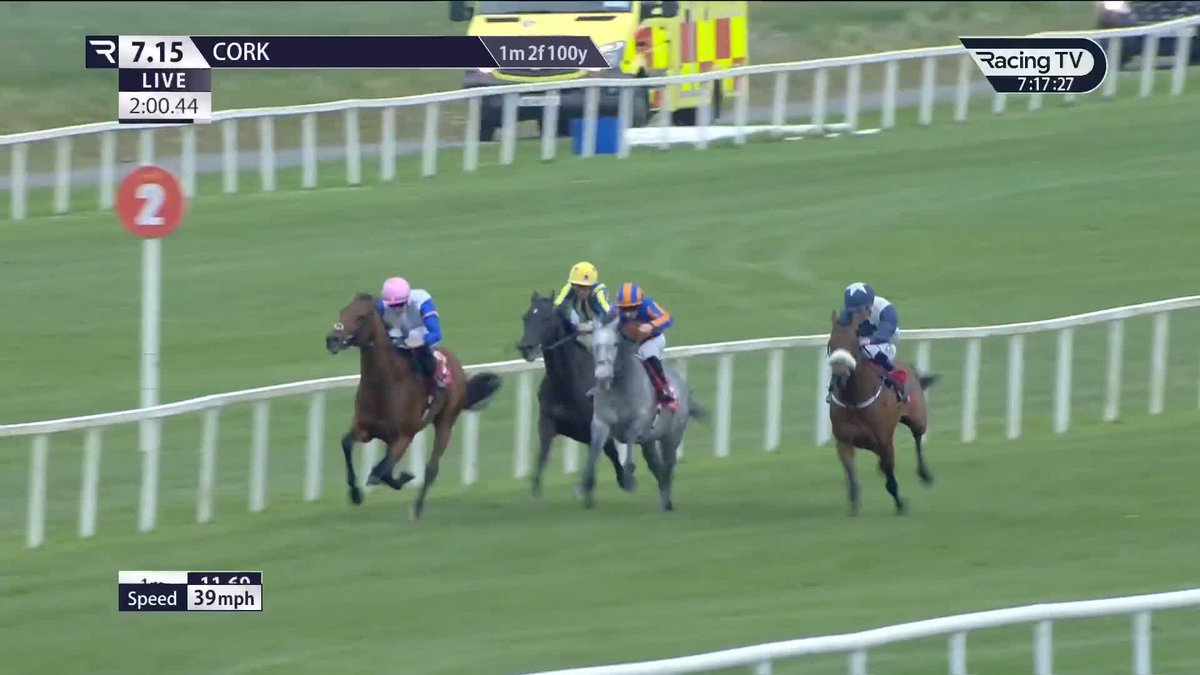 Derby and Irish Derby entry Limestone (New Bay) strikes on three-year-old debut and looks a nice prospect for the season for Joseph O'Brien