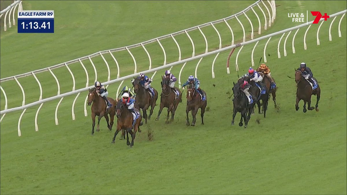 KRONENBOURG AT 100-1 🤯 Antino runs into fourth as his unwanted stablemate leads all the way 😱 Emily Lang Gollan Racing