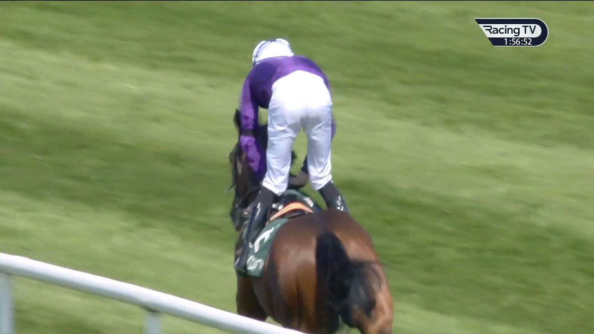 575,000gns Book 1 buy Tribeca (Blue Point) strikes on debut for Robson De Aguiar and Amo Racing at Navan Racecourse