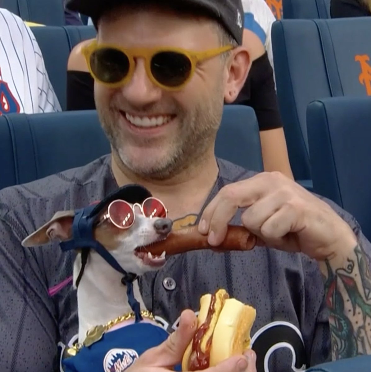 This Mets fan feeding his dog a hot dog during the game 😂