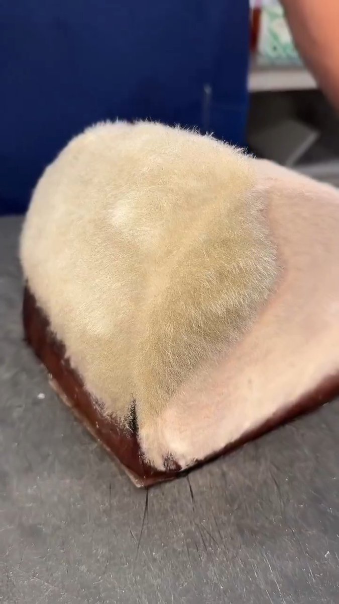 Moldy tuna aged 3 weeks... 😳 Would you eat this?