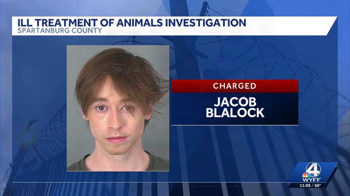 A Spartanburg County man awaiting trial on child sexual exploitation charges has been arrested again after deputies say he sexually abused animals. He was granted a $5,000 bond. Let that sink in. This is a systemic failure, and it is exactly the kind of failure that defines what is wrong with South Carolina's justice system today. South Carolinians deserve a justice system that actually protects them. As governor, I will deliver one.