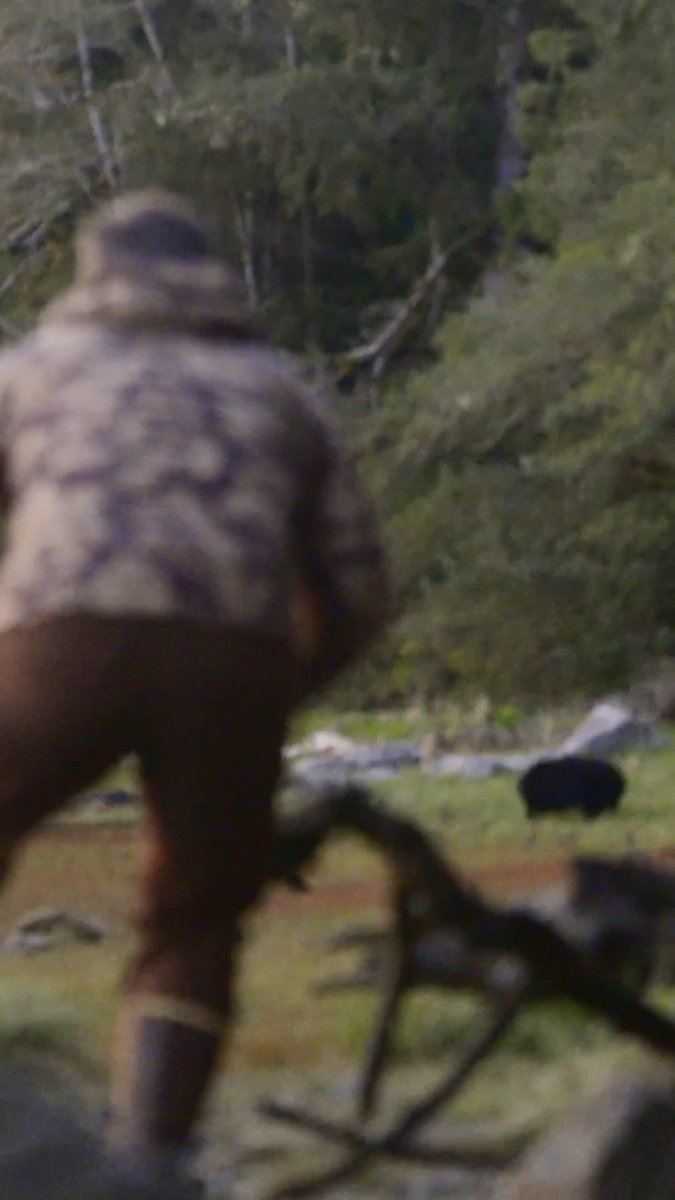 Staring down a black bear at seven yards will make you question how steady your nerves really are. Like most hunting, success often comes down to patience and persistence but every now and then, that discipline puts you right in the middle of something you won’t forget.
