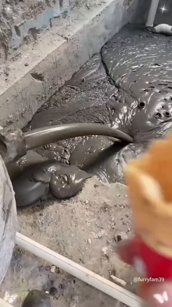 First ones the forbidden ice cream cone