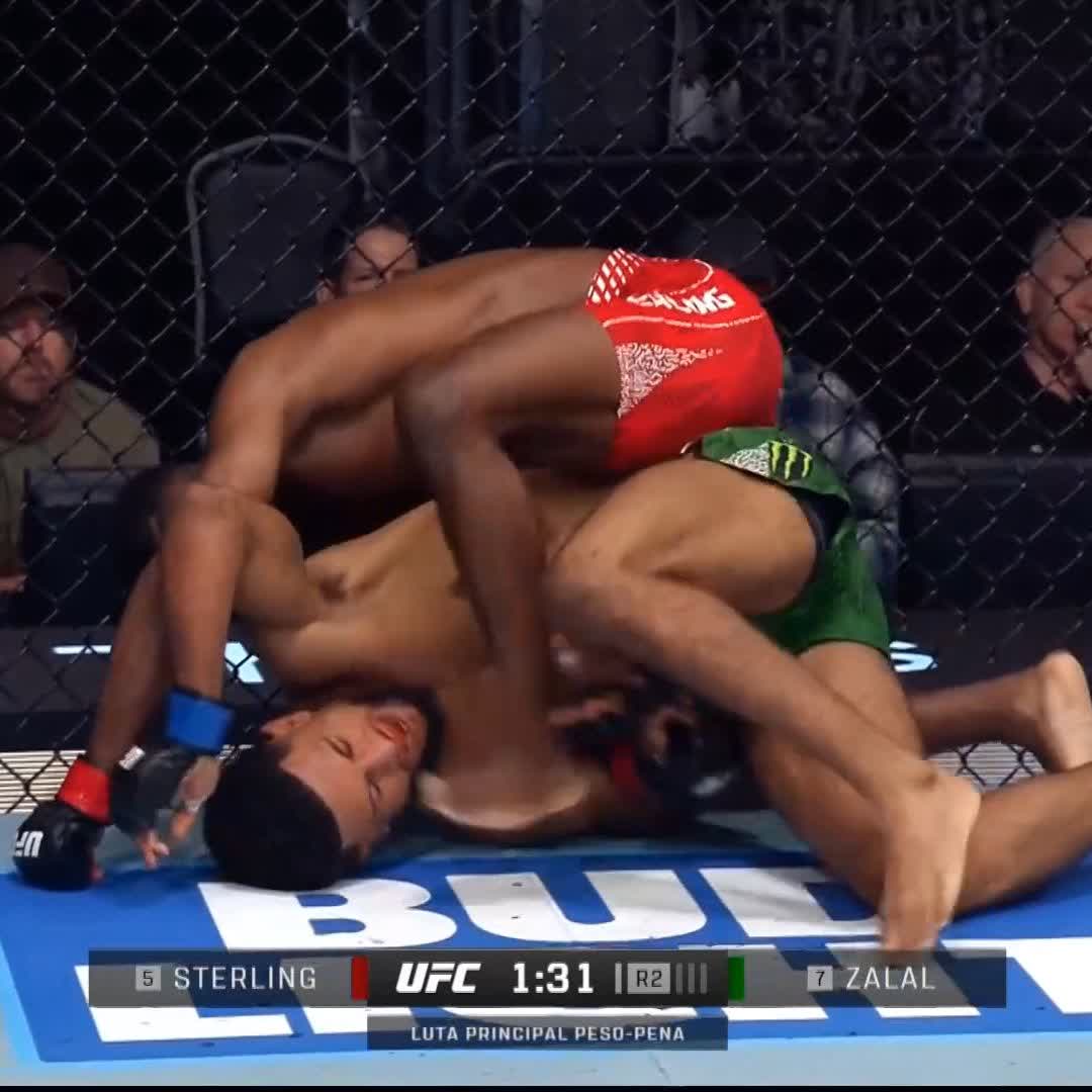 2R スターリングがバックからパウンドを連発！ #UFC