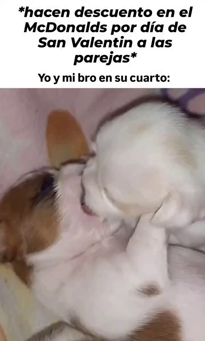 A veces toca improvisar…🤯😤