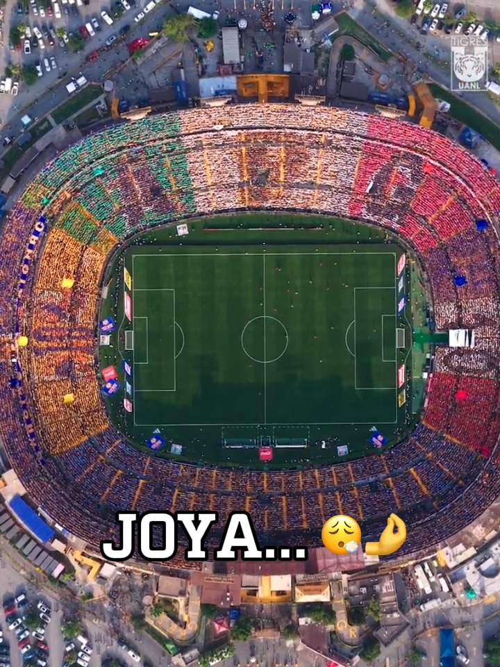 ¡C-H-U-L-A-D-A! 👏 Lo de hoy en el Volcán para Gignac es simplemente insuperable... Vía: X / TigresOficial