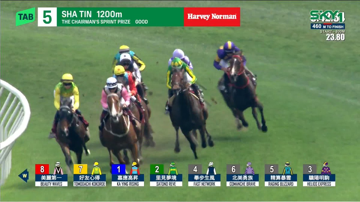 サトノレーヴ、道中おっつけながらカーインライジングを追って後続を完封してるんだからめちゃくちゃに強い。 前のアレは馬じゃないのでノーカンとして、後ろは世界最強・香港スプリントの雄たち。 実質優勝🏆