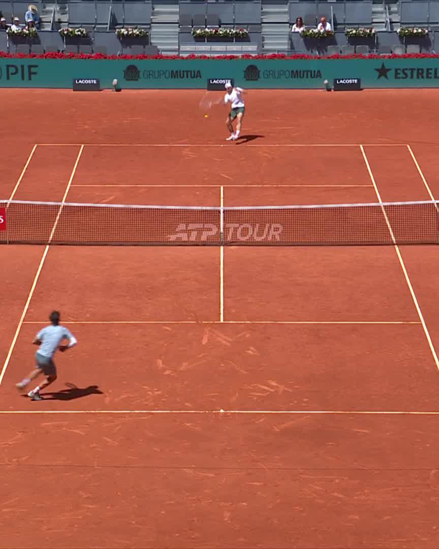 Blistering Backhand 🤯 Lorenzo Musetti #MMOpen