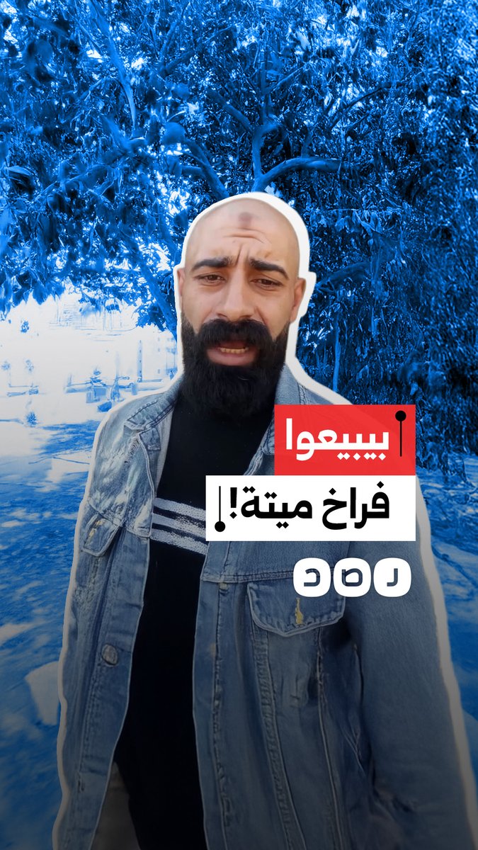 بيبيعوا فراخ ميتة.. مواطن يحذر من غش أصحاب مزارع الدجاج