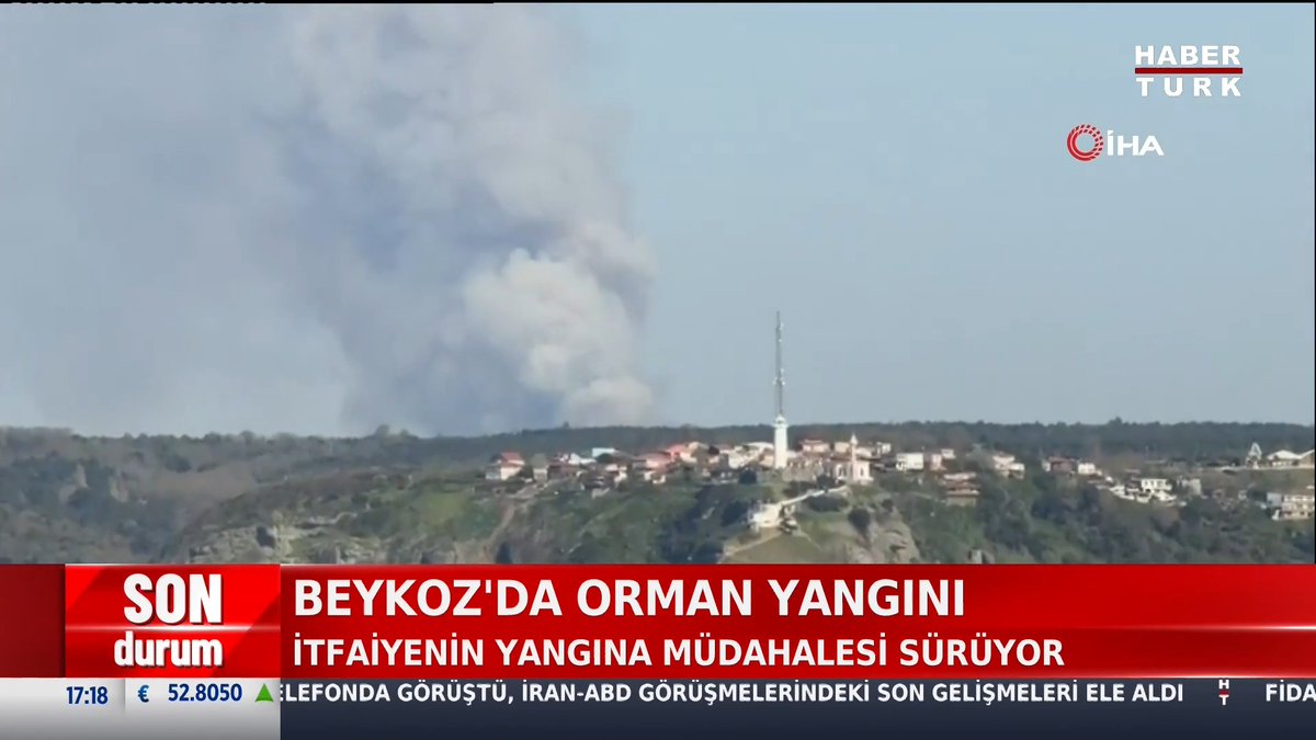 Beykoz'da ormanlık alanda yangın çıktı.