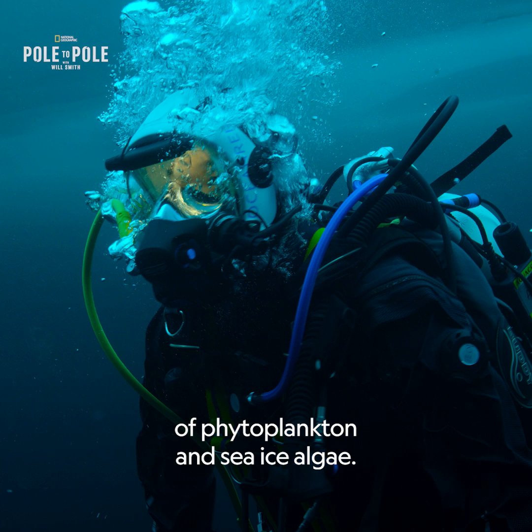 Allison Fong's moment of wonder? Making the journey to the North Pole—and getting to see firsthand just what lives in the sea ice. #StepIntoWonder with National Geographic’s #EarthMonth collection throughout April and stream #PoleToPole with Will Smith on Disney+ and Hulu.