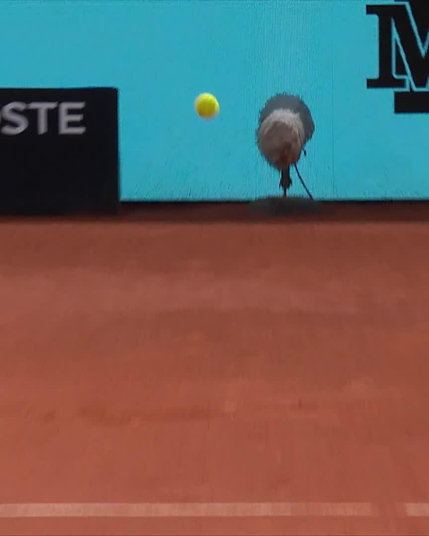 João Fonseca hits a BLISTERING backhand down the line against Rafa Jodar in Madrid. Exceptional power from an exceptional 19 year old talent. Boom. 🇧🇷💥