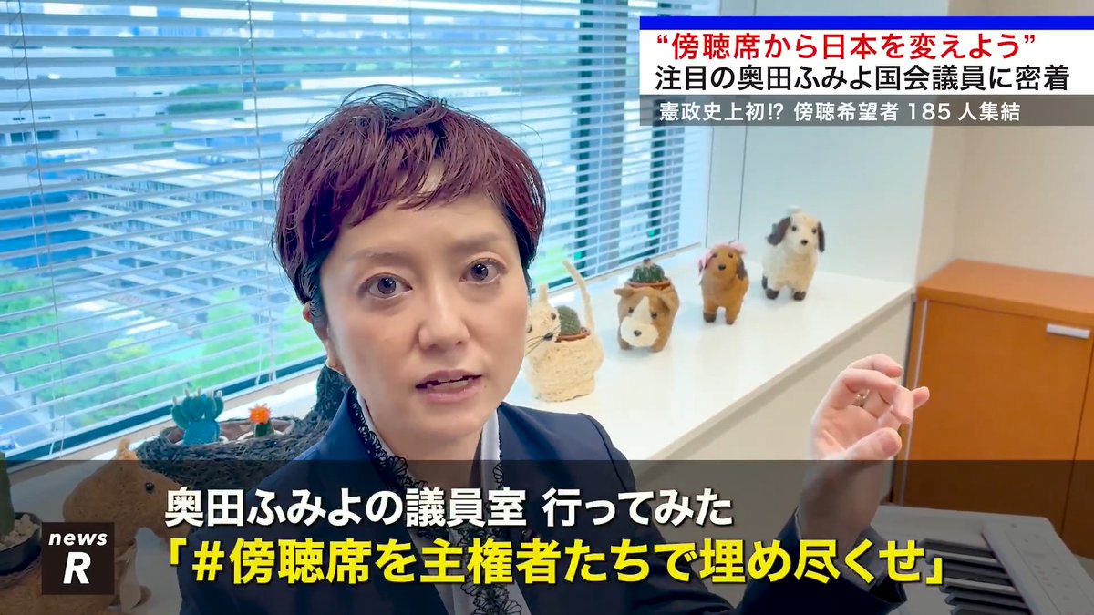 / “傍聴席から日本を変えよう” \ 注目の奥田ふみよ議員に密着 れいわ新選組 news R #傍聴席を主権者たちで埋め尽くせ #国会 #国会中継