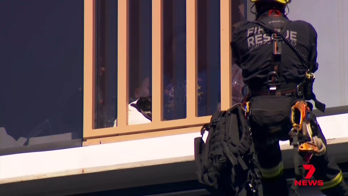 A Jack Russel named Elbie went missing over the weekend and Monday morning, she was spotted high on a ledge of her Sydney apartment block. What happened next had everyone cheering.