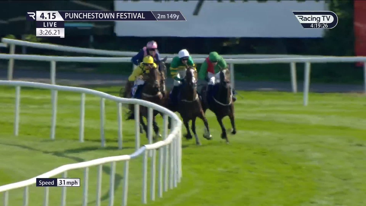 Irancy won the Champion Novice Hurdle at the Punchestown Festival last season, could we see El Cairos win it this year? Is he even grade 1 class over hurdles 👀 Sober in for Willie Mullins 🤔 Who wins?