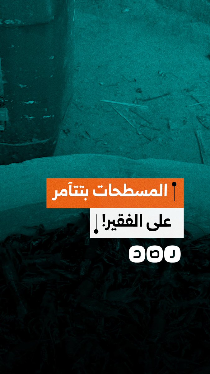 "مافيا استاكوزا النيل".. صياد يكشف تآمر التجار مع "المسطحات" للخسف" بأثمان صيدهم