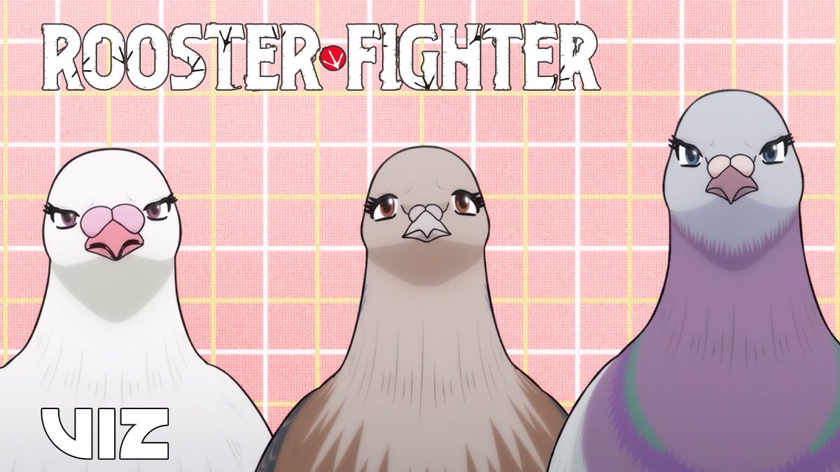 Group bird dating seems as bad as group human dating m i rite 🥴 Anime: Rooster Fighter