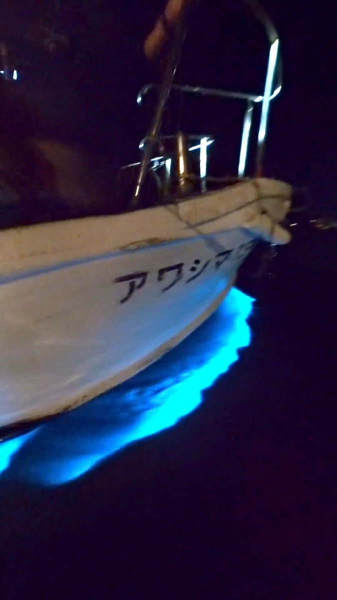 内浦で夜光虫が発生‼ アワシマ13号が光の海を進んでいくような とても幻想的な光景でした✨ ＃夜光虫