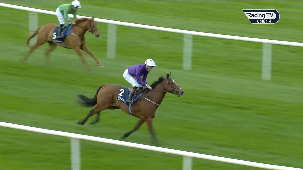 ๐ Force Noir (Persian Force) gets off the mark in style for Robson De Aguiar, Amo Racing and David Egan ๐ฃโช๏ธ Irish Stallion Farms | Naas Racecourse
