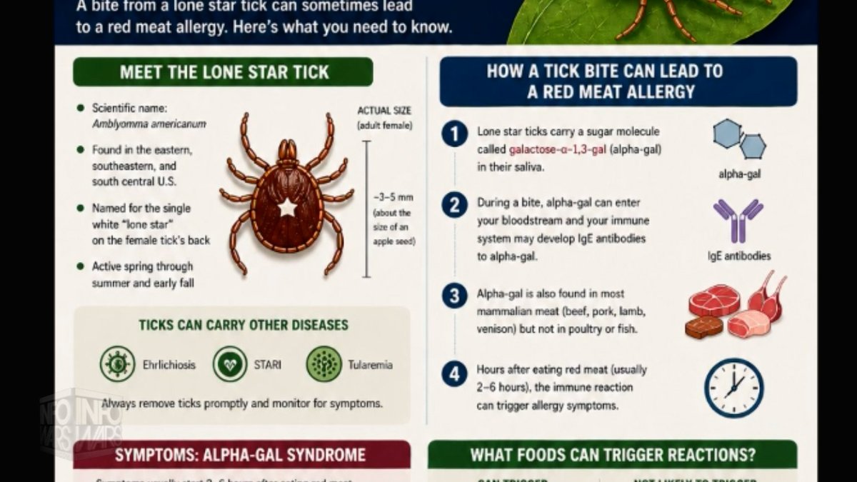 ⚠️The WEF / UN Just Confessed To Committing MASSIVE Biological Weapons Crimes Against Humanity! The Lone Star Tick Has Been Purposely Infected With A Geoengineered Bioweapon That Creates A Deadly Allergy To Beef & All Other Red Meat In Anyone Who Has Been Bitten! This Is All Part Of A Declassified CIA Plan To Genetically Engineer The Human Population To Be Unable To Eat Meat In A Larger Forced Evolution Project Being Carried Out By Globalist Mad Scientists! The Lone Star Tick Is Being Purposely Released Across The United States, And Big Pharma Is Releasing So-Called Vaccines To Counter The Crisis They Created! 🔴WATCH/SHARE THE LIVE X STREAM NOW: