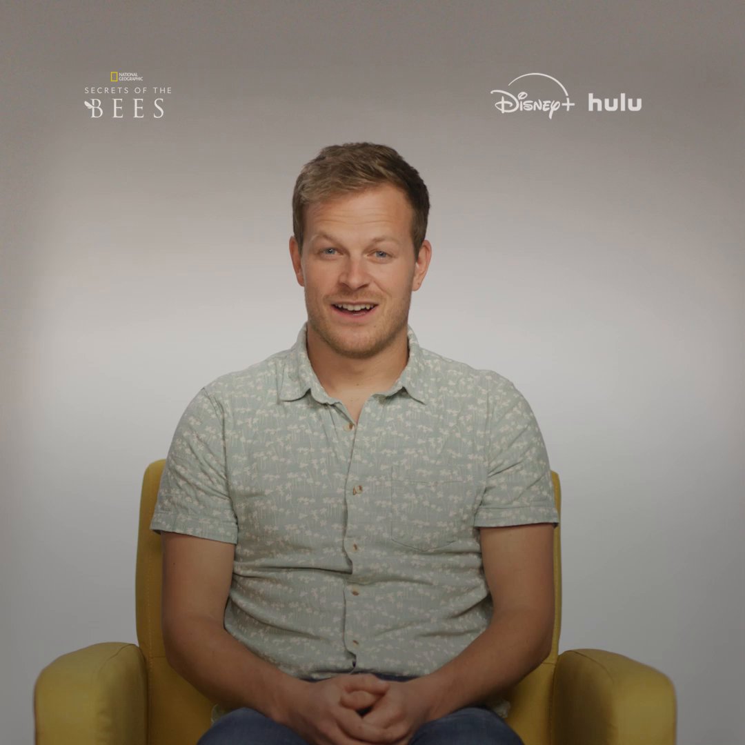 Bertie Gregory is buzzing to show off his bee pun skills. Don't swarm him if he missed a few—we know it must sting. Drop your best bee puns in the replies and bee-come an even better bee punner by watching #SecretsOfTheBees, now streaming on Disney+ and Hulu.