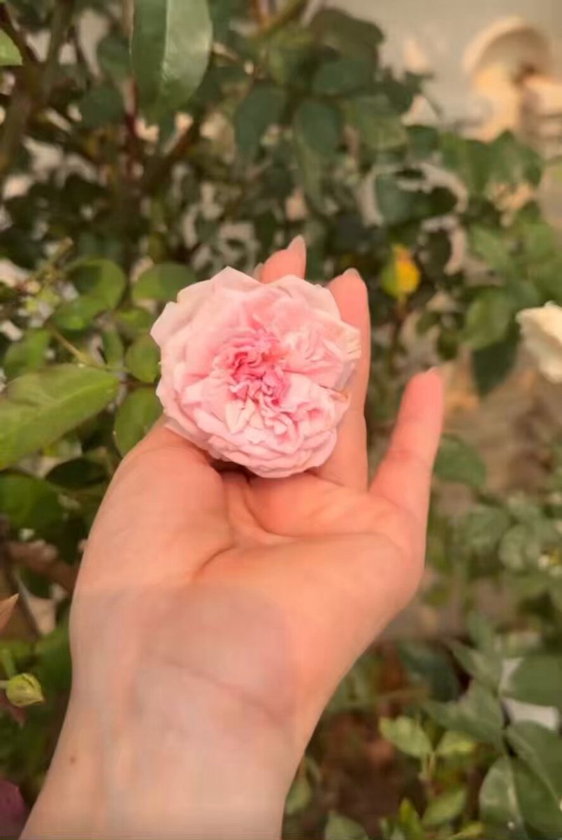 Bye bye mọi người… mình sẽ nghỉ vài ngày Ngôi nhà này giờ đã thiếu đi một người rồi… Hy vọng vẫn đủ chứa tất cả mọi người cho tới khi mình quay lại. Love You All