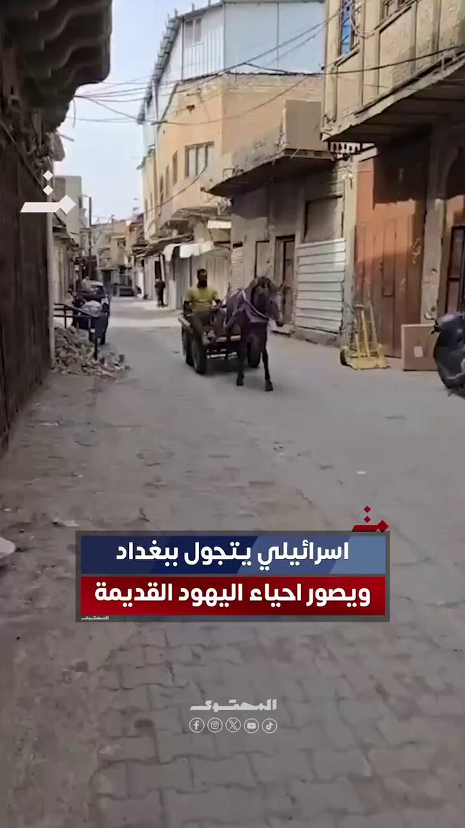 اسرائيلي يتجول في بغداد 🥴 جمهورية الموز ماتدري منو يدخل ومنو يطلع منها عزبه مو دولة 🤦🏻‍♂️