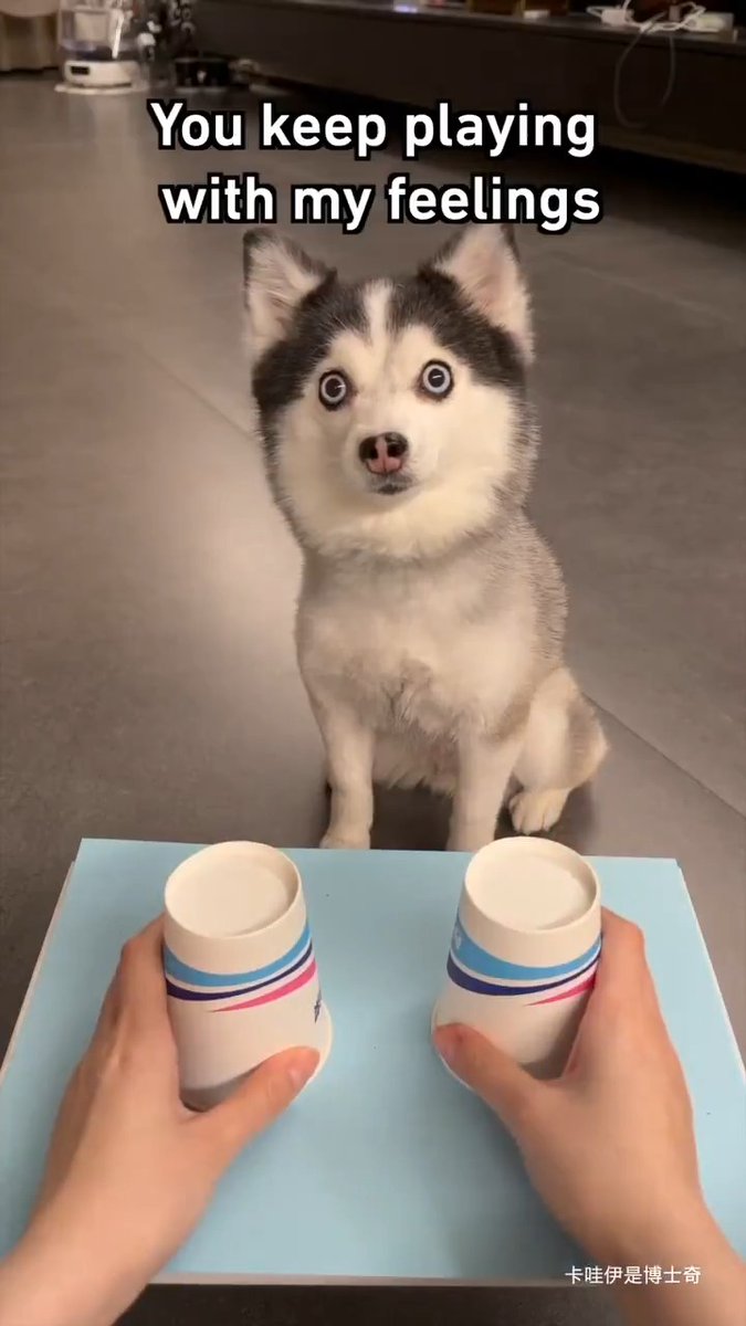 How dare you?