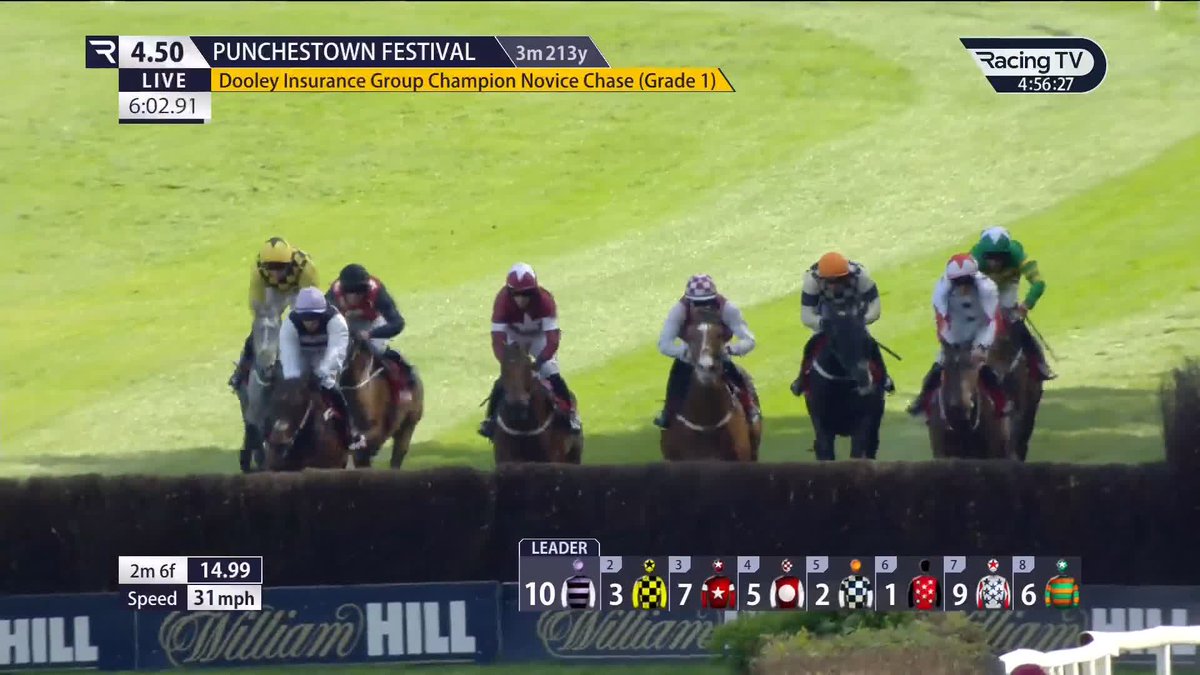 18/1 chance Western Fold lands Grade 1 honours in a thrilling Dooley Insurance Group Champion Novice Chase! Punchestown jack kennedy | Gordon Elliott