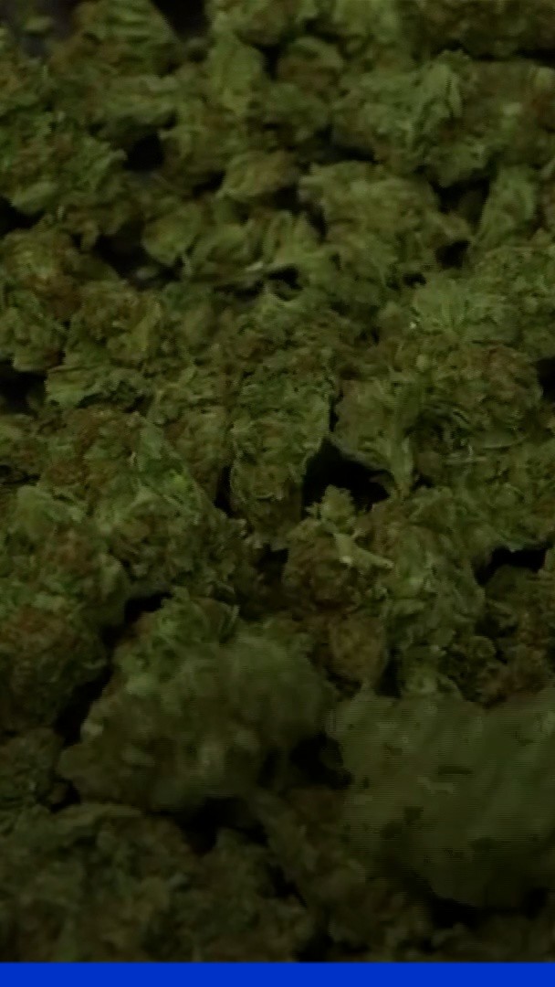 Un groupe de 22 moines bouddhistes arrêté avec 110 kilos de cannabis à leur retour de vacances en Thaïlande