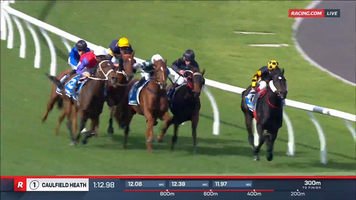 Caulfield Heath 1 | Ertijaaj Ben melham barely moved! The daughter of Golden Slipper winner Estijaab dominates on debut in Australia 😮 📺 Ch. 78/68, Foxtel 529, Kayo or via our app REPLAYS: