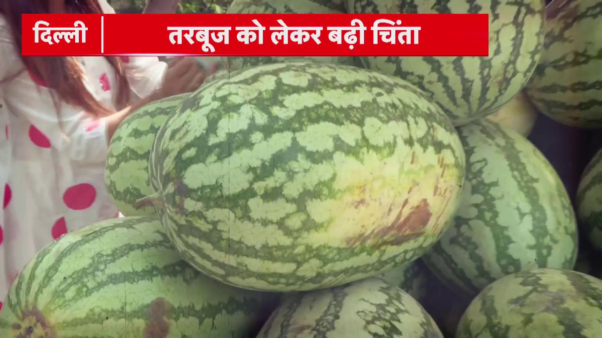 क्या आप भी बिना जांचे-परखे तरबूज खरीद रहे हैं? मुंबई में फूड प्वाइजनिंग के बाद तरबूज को लेकर चिंता बढ़ गई है…हेल्थ एक्सपर्ट ने डेमो में बताया कि असली और केमिकल तरबूज की पहचान कैसे करें…देखिए पूरी रिपोर्ट