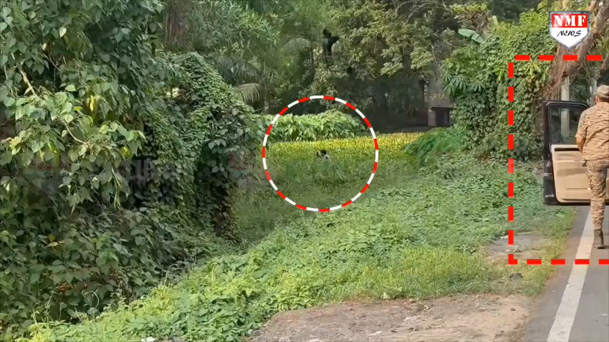 Muslim TMC workers who had gone to threaten voters &amp; rig polling jumped into the water the moment they saw the convoy of IPS Ajay Pal Sharma. Reason why Ecosystem is pissed with this Singham from UP 🔥