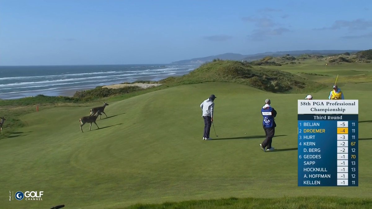 Bandon truly is magical. 😍 You CAN get tee times at Bandon Dunes! Everyone thinks it’s impossible. Just call 2-4 weeks before you have some free days and see what they have. You might be surprised. Lodging is the bottleneck.