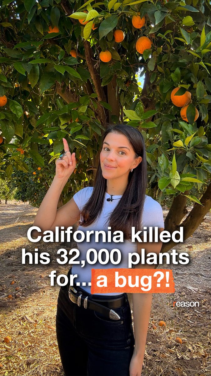 Why did California destroy 32,000 citrus plants for a bug found five miles away two years ago? Reason’s Bess Byers shares how the farm owner is now going to “slug it out with them” in federal court.