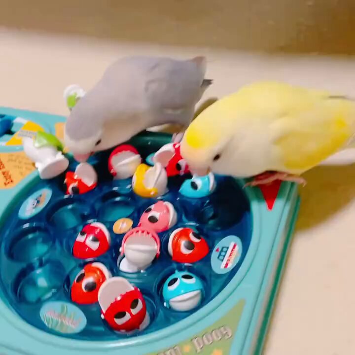 Fishing game
