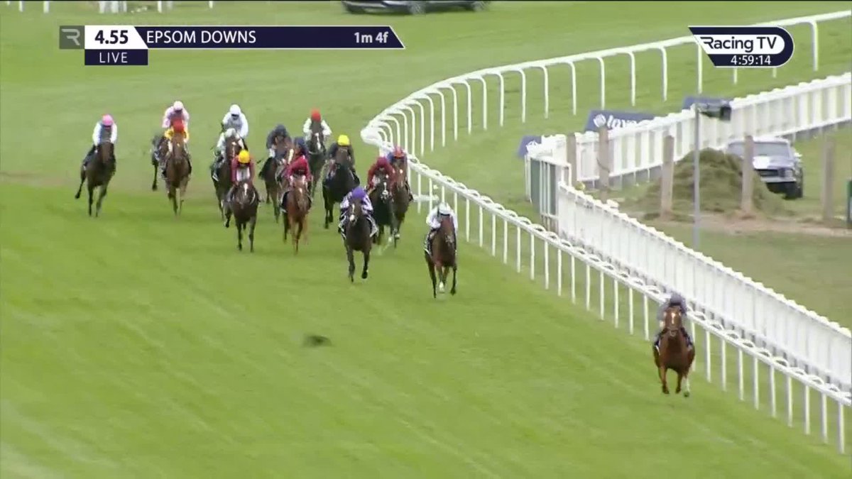 A bit random, but does anyone know where 2020 Epsom Derby winner Serpentine retired to?
