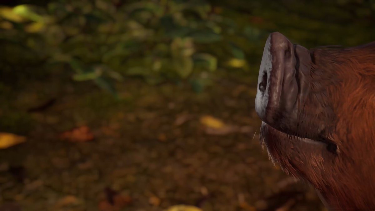 Prepare for cuteness overload! Adorable Adventures is out today! 🐗Play as Boris, a curious baby boar! 🐽Follow your nose to identify scents 🏞️Explore gorgeous natural landscapes 🫂Reunite with your lost family ⚽Get distracted with fun side activities PLUS there’s a fabulous 20% launch discount available on Steam, Epic Games Store, PlayStation 5, and Xbox Series X|S! Buy now: